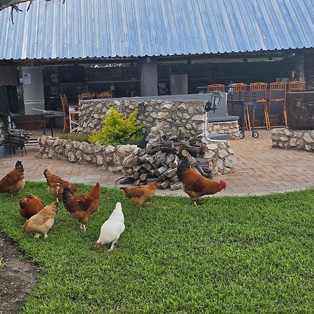 Tamboti Farm Accommodation 楚梅布 外观 照片