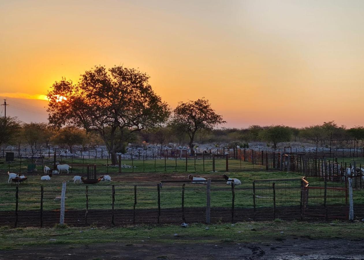Tamboti Farm Accommodation 楚梅布 外观 照片