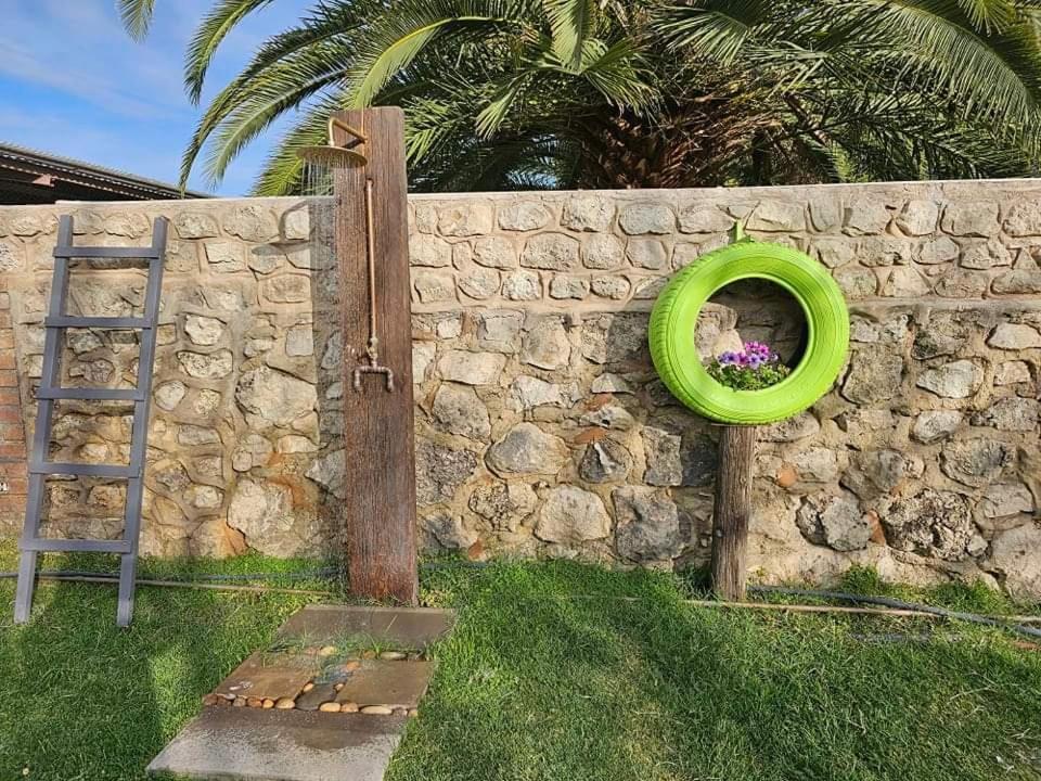 Tamboti Farm Accommodation 楚梅布 外观 照片