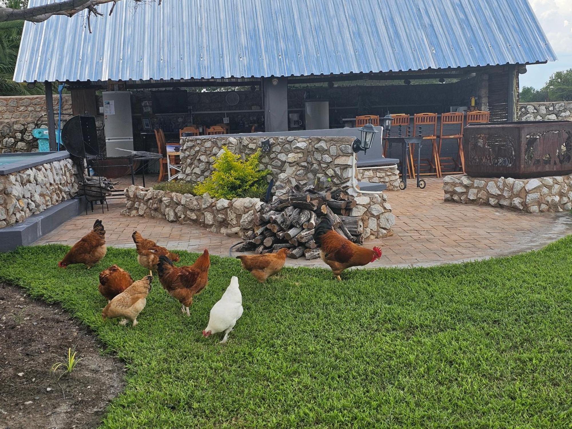 Tamboti Farm Accommodation 楚梅布 外观 照片