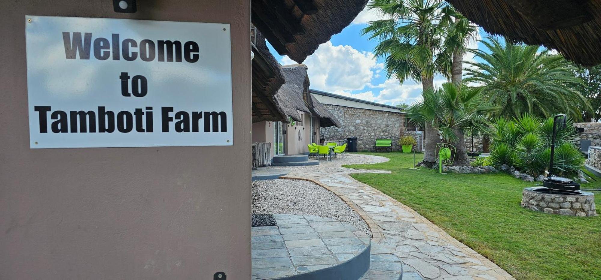 Tamboti Farm Accommodation 楚梅布 外观 照片